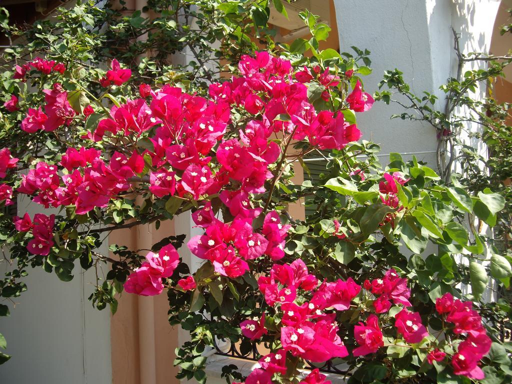 Athina